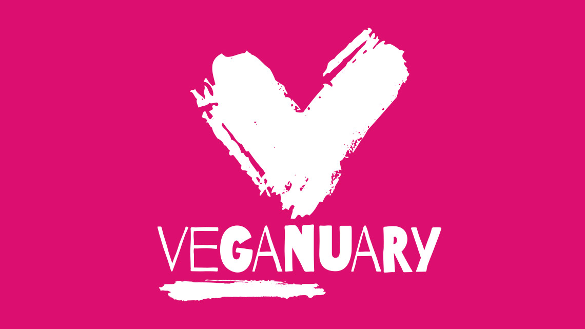 End Of Veganuary, Now What? - Vegan On Paper Vegan-Lifestyle